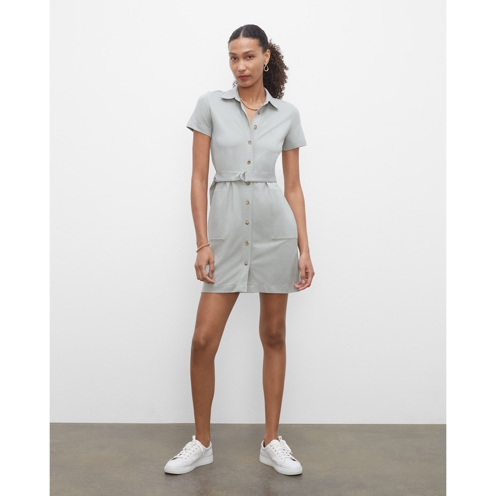 Club Monaco dress